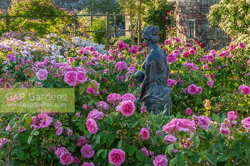Small rose garden at Parham, Sussex