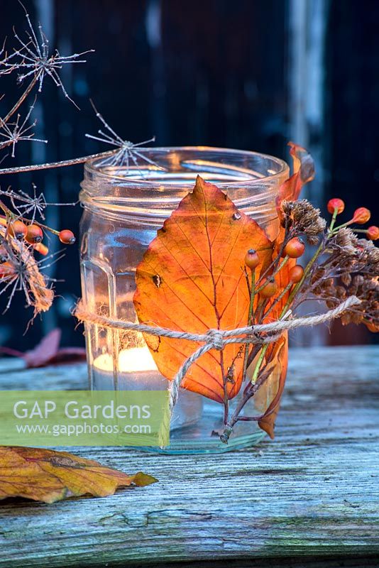 Tealights in glass jars with beech leaves, rosehips and seedheads