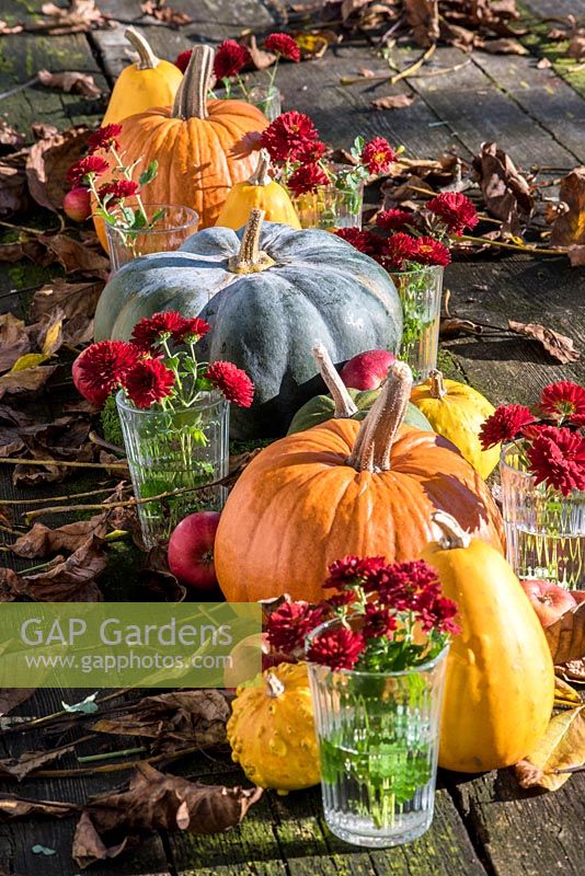 Autumnal decoration for garden dining table.
