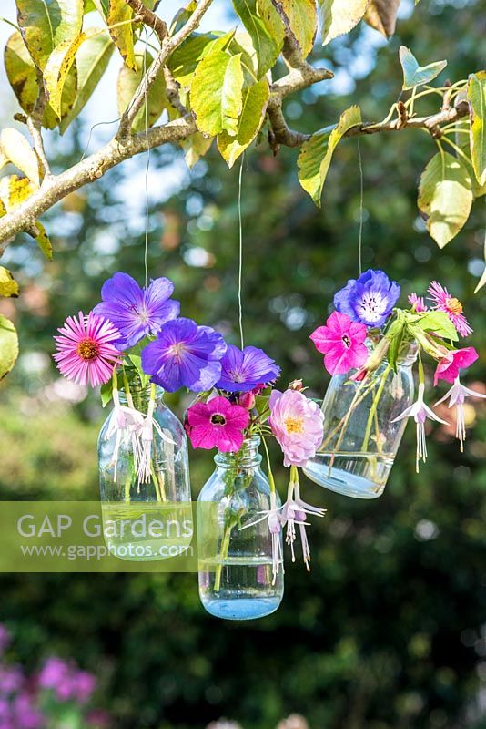Cut garden flowers in hanging glass bottles vases