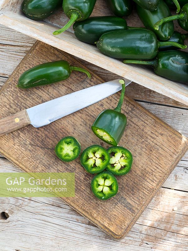 chopping board, sliced Jalapeno pepper and trug of harvested chillies