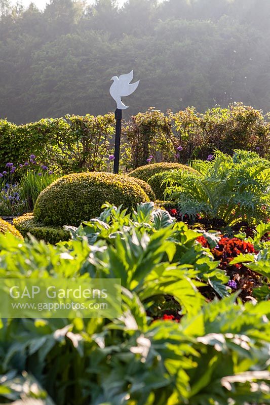 Vegetable garden with Cynara cardunculus 'Florist Cardy' - cardoon, box topiary and ornamental dove

