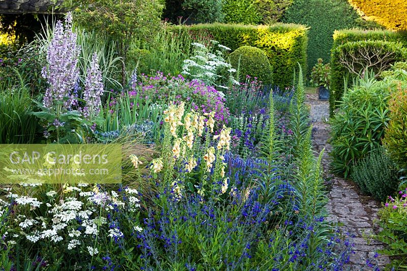 Mixed borders at Old Erringham Cottage in Sussex