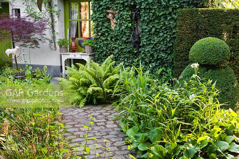 Paved courtyard with perennials, grasses and box topiary. Dina Deferme garden, Belgium