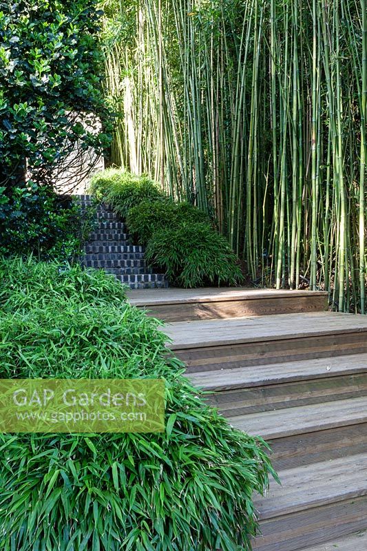 Jardin Zen. Decking and bamboo. Les Jardins D'etretat, Normandy, France.
