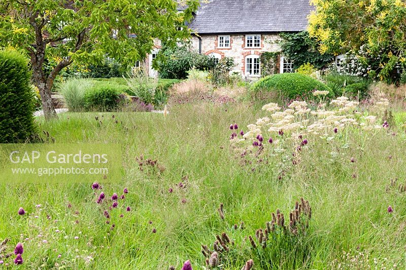 View of informal meadow planting at Bury Court Gardens, Hampshire, UK. 