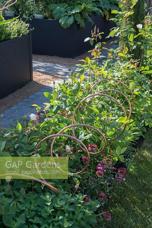 Copper spiral tubes used to support a bed of Roses