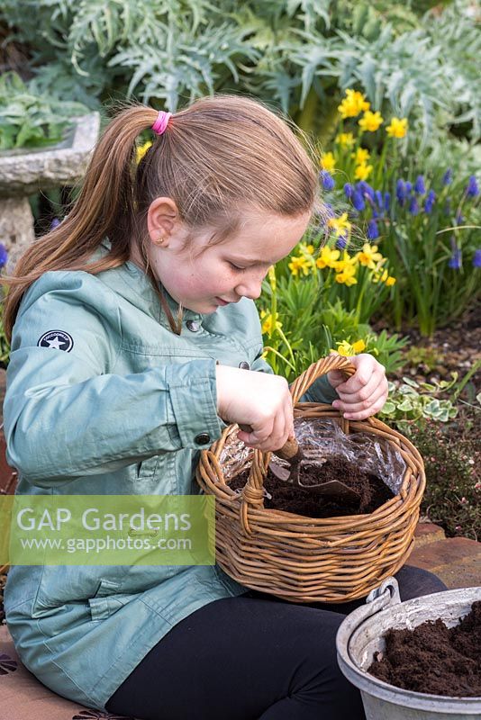 Girl uses trowel to fill lined basket with compost
