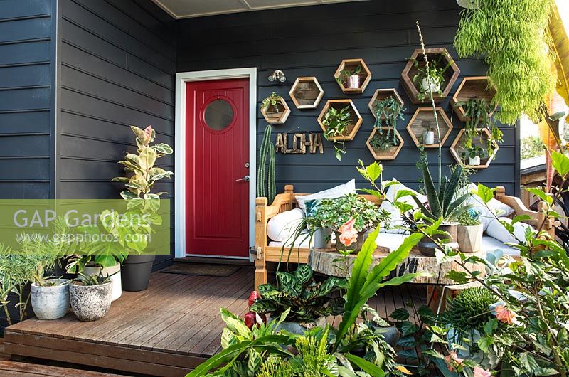 View of verandah with wall display of hexagonal timber planters and a collection of potted plants.