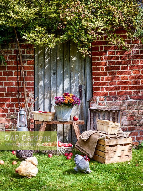 Autumnal arrangement in rustic setting with chickens. 