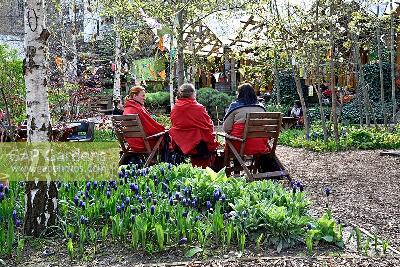 Three ladies with red blankets around their shoulders sitting in the Dalston Eastern Curve Garden, London Borough of Hackeny, UK. 