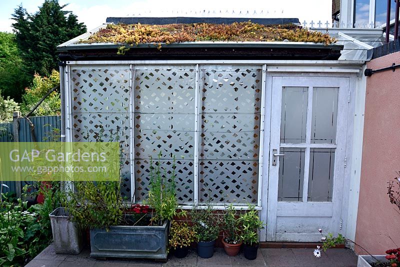 Small conservatory with unusual window glazing and green roof, North London, UK. 