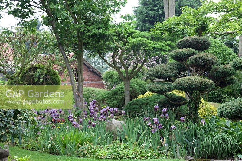 Flowerbeds and borders in the Pure Land Japanese Meditation Garden, Newark, UK.