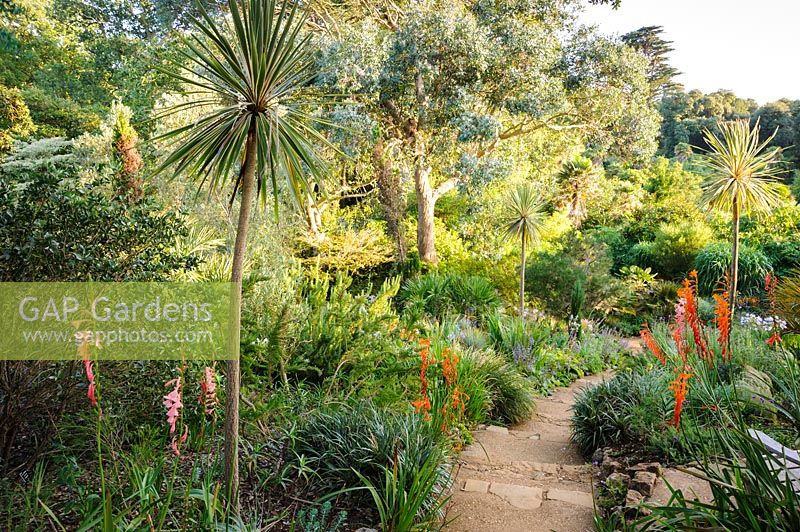 Steps lead down the Mediterranean Bank at Abbotsbury Subtropical Gardens, Dorset, UK.