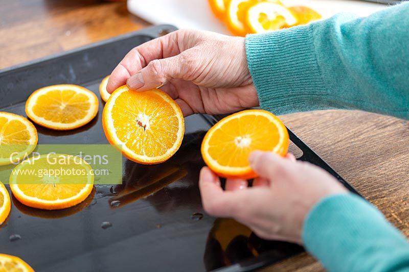 Placing slices of orange onto oven tray