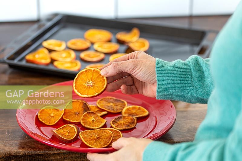 Removing oven dried orange slices from tray