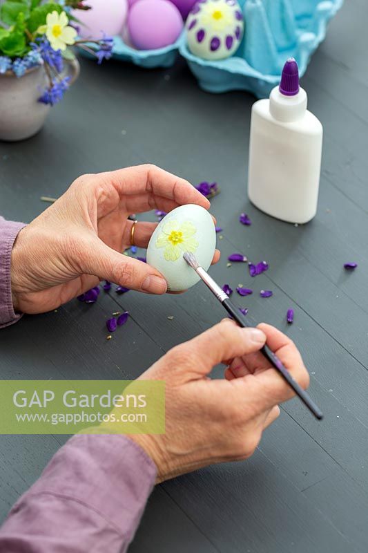 Woman using a brush and glue to fix Primrose petals on to eggshell as decoration