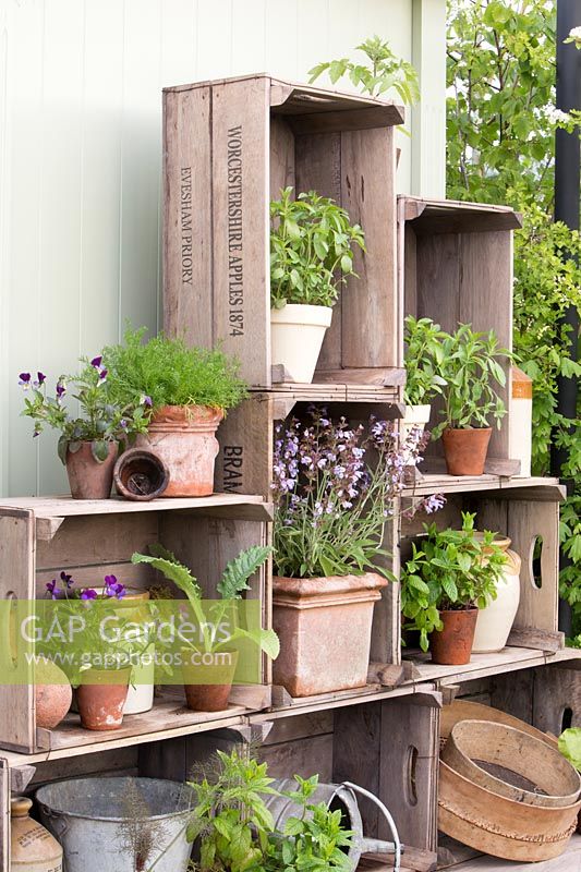 Various pots with herbs in old wooden crates with sieves. Perfumer's Garden, RHS Malvern Spring Festival, 2018