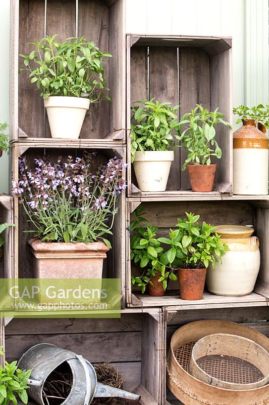 Various pots with herbs in old wooden crates with sieves. Perfumer's Garden, RHS Malvern Spring Festival, 2018