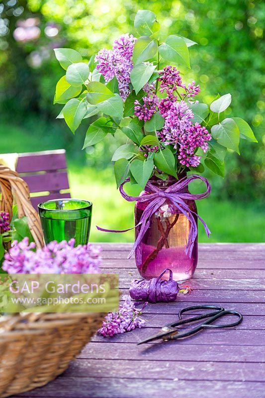 Floral arrangement of Syringa - Lilacs in glass jar with raffia bow