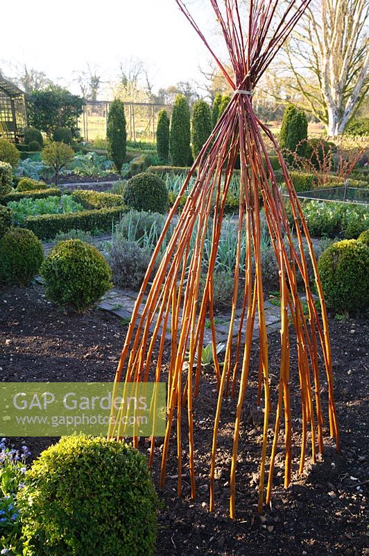 Colourful willow stems used to make a wigwam in the potager at Barnsley House, Cirencester, UK