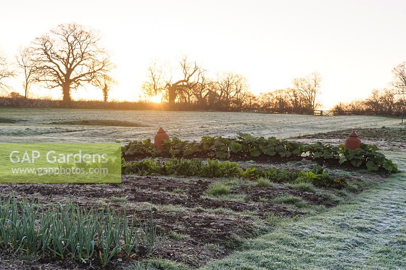 The vegetable garden under a light layer of frost at dawn. Barnsley House, Cirencester, Glos, UK. 