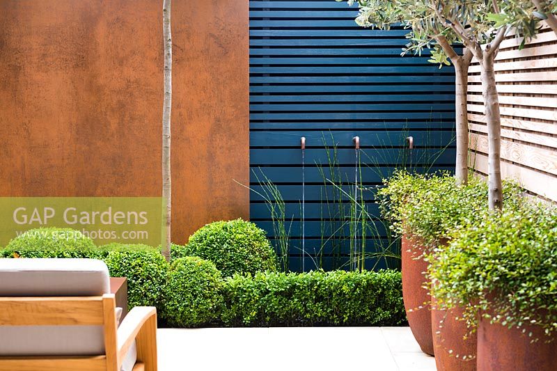 Contemporary water feature with rusted taps surrounded by Equisetum hyemale, 
Buxus sempervirens balls and hedges topiary, big rusted steel containers with 
Olea europaea and Muehlenbeckia complexa by blue wooden wall and rusted panels. 