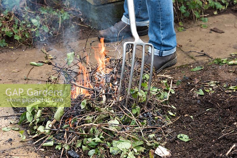 Tending a small bonfire with a garden fork 