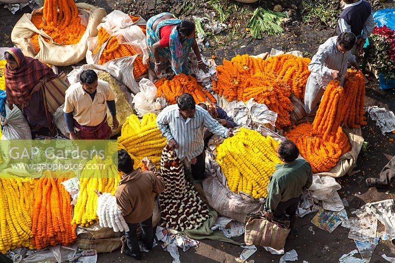 Overhead view of buying and selling at flower market selling garlands of
 Tagetes - marigolds
