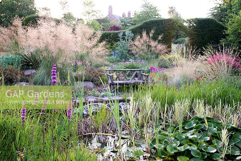 Colourful border with Stipa gigantea Iris Nymphaea Helictotrichon sempervirens and Lythrum salicaria  at Bluebell Cottage Gardens, Cheshire, UK 