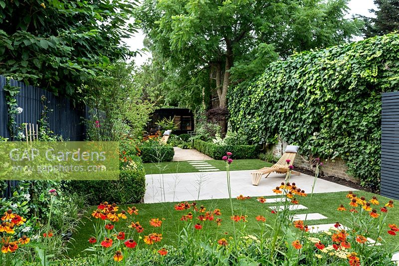 Garden design by Nick Gough Overview of garden with artificial lawn with stone 
slab path and patio with wooden chairs. Planting on the left: buxus sempervirens
 hedge Orange Helenium 'Moerheim Beauty' Yellow Achillea 'Teracotta', 
Pink Cirisium riv. Altropurpureum
