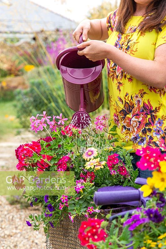 Watering newly planted flowers