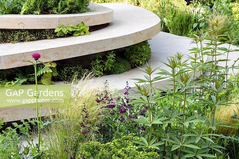 Spiral stone sitting area planted with Euphorbia martinii, Verbascum 'Sugar Plum' and Stipa tenuissima  - RHS Feel Good Garden - Built by Rosebank Landscaping - Sponsor: the RHS - RHS Chelsea Flower Show 2018