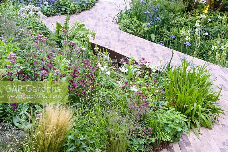 Astrantia 'Moulin Rouge' with perennials and grasses and Iris 'Silver Edge ' with ferns along brick paved path - RHS Feel Good Garden - Built by Rosebank Landscaping - Sponsor: the RHS - RHS Chelsea Flower Show 2018