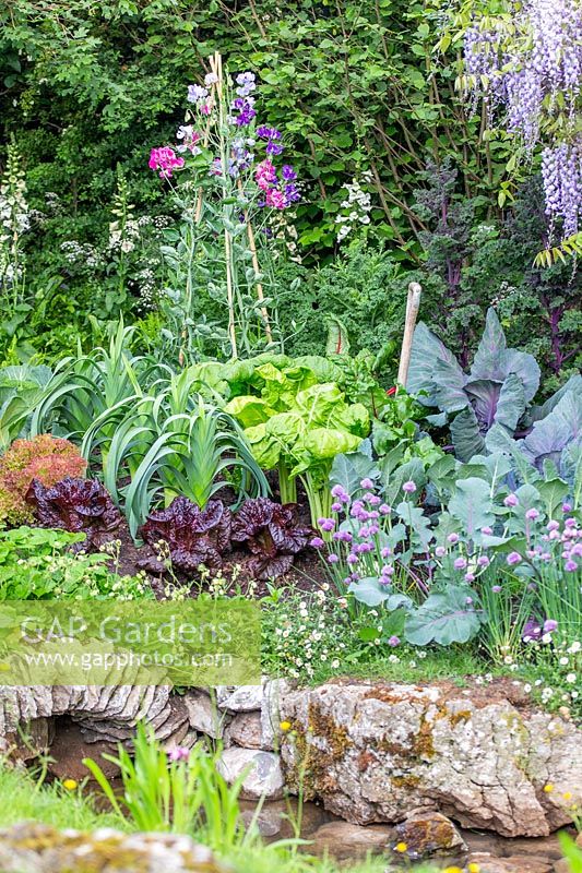 Vegetable plot with salad crops, herbs and strawberries. Welcome to Yorkshire garden, Sponsor: Welcome to Yorkshire, RHS Chelsea Flower Show, 2018.