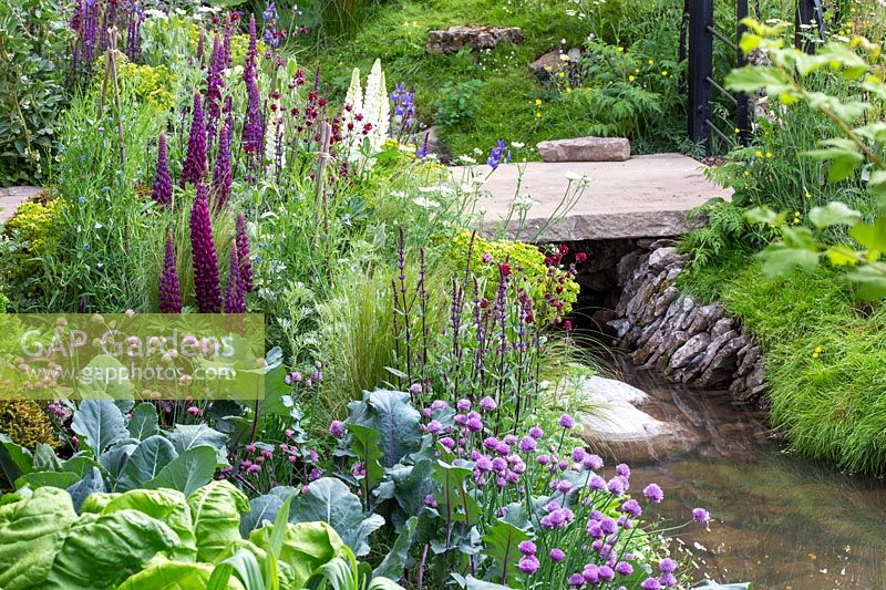 Welcome to Yorkshire Garden - Salad crops, leeks, cabbages, chives - Allium schoenoprasum - Sponsor: Welcome to Yorkshire - RHS Chelsea Flower Show 2018