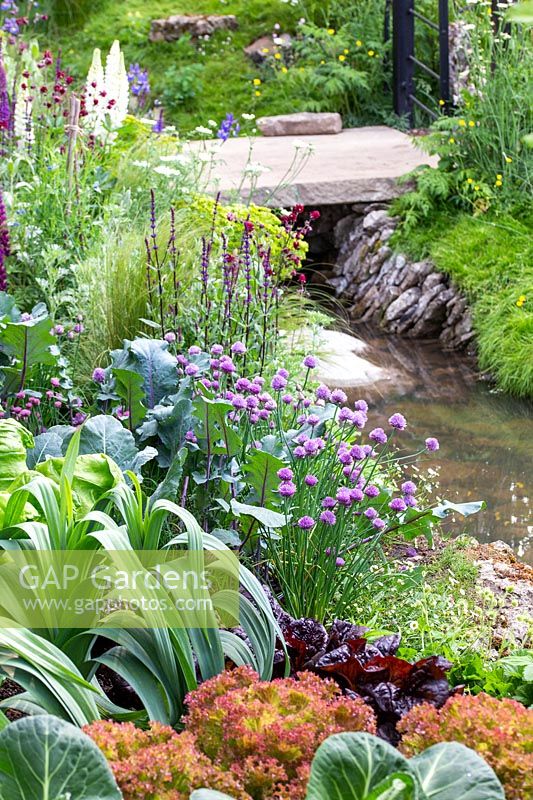 Welcome to Yorkshire Garden - Vegetable plot with salad crops, leeks , cabbages, chives - Allium schoenoprasum - Sponsor: Welcome to Yorkshire - RHS Chelsea Flower Show 2018