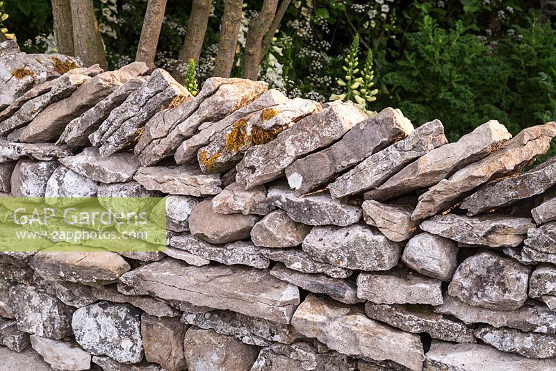Welcome to Yorkshire Garden - Stone wall - Sponsor: Welcome to Yorkshire - RHS Chelsea Flower Show 2018