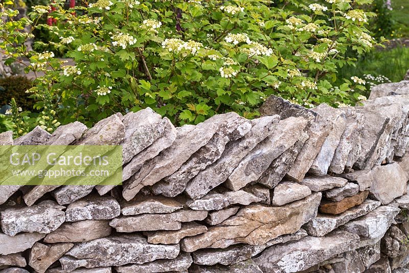 Dry stone wall in show garden. Welcome to Yorkshire garden, Sponsor: Welcome to Yorkshire, RHS Chelsea Flower Show, 2018.
