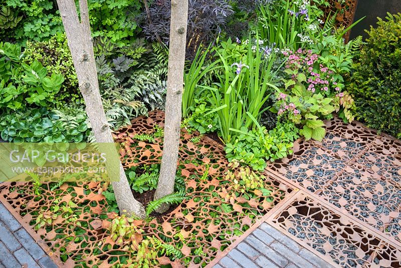 Leaf-shaped permeable paving made of laser cut metal grids with Asarum europaeum and Ferns - Urban Flow Garden - RHS Chelsea Flower Show 2018