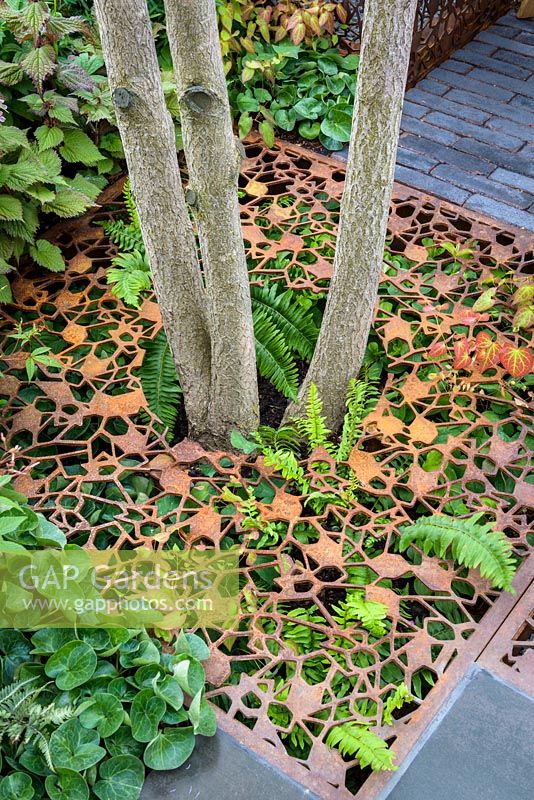 Leaf-shaped permeable paving made of laser cut metal grids with Asarum europaeum and Ferns - Urban Flow Garden - Sponsor: Thames Water - RHS Chelsea Flower Show 2018