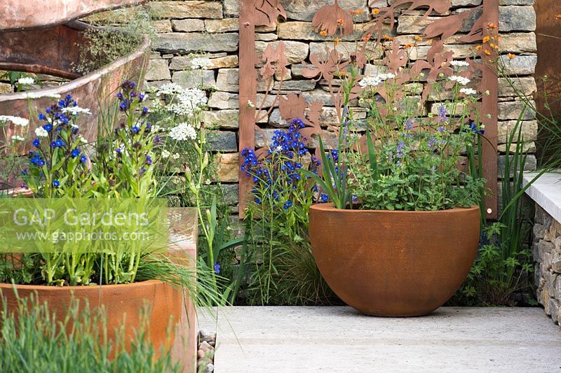 The Silent Pool Gin Garden - Rusted pots with Geum 'Totally Tangerine' PBR Avens and Anchusa azurea 'Dropmore' by stone wall - Sponsor: Silent Pool Distillers - RHS Chelsea Flower Show 2018
