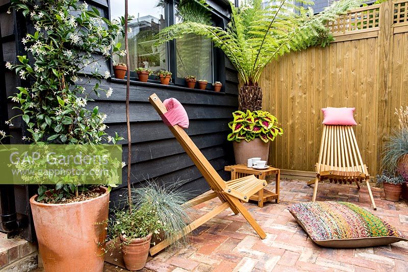 London patio garden with pergola, wooden garden office, mixed planting and wooden garden chairs