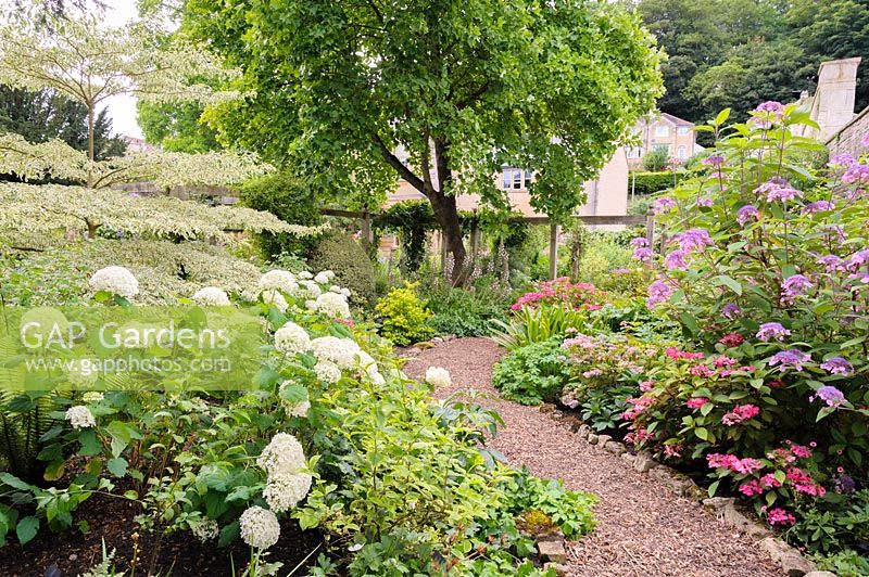 Winding gravel path leading through woodland garden borders planted with shade loving plants.