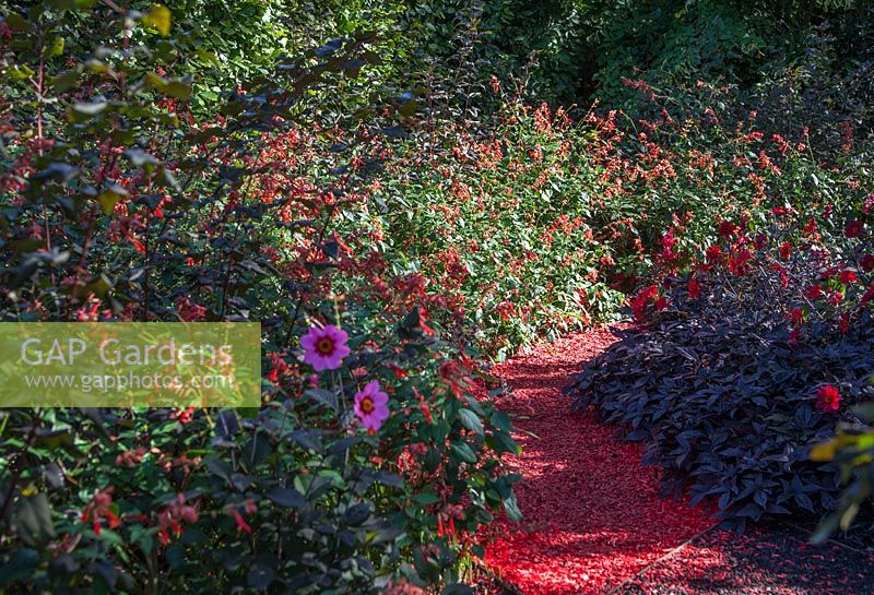 Hot Red Planting Combination. Avantgarden. Festival garden, Garden of Thought. 
Festival des Jardins 2018, Chaumont sur Loire, France 
