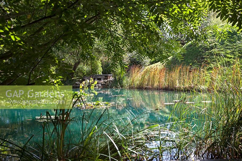 Blue lake with Lotus. HUALU Hermitage on the Loire. Pres du Goualoup.  Festival des Jardins 2018, Chaumont sur Loire, France