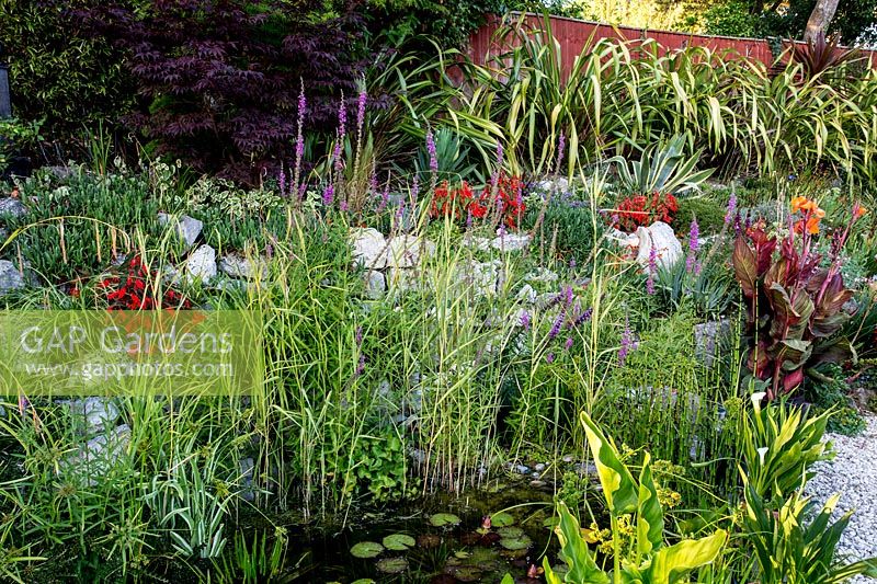 Rockery and pond  Pam Woodall's garden, 'Pinecombe' in Dorset, UK