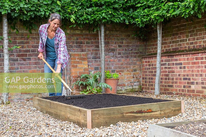 Spreading soil improver and levelling newly renovated raised bed with rake