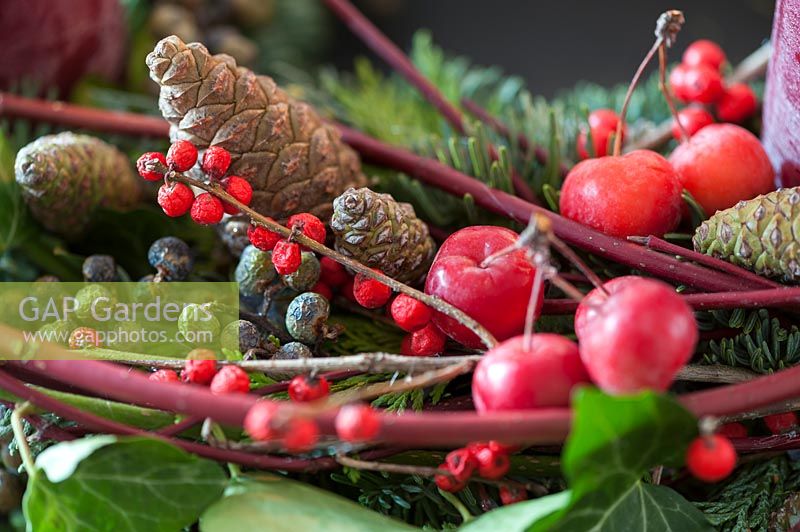 Advent wreath with green sprigs, Cornus, ivy, and pine cones