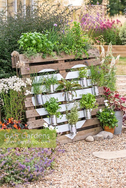 Recycled herb garden - Pallet planter with painted heart shape, herbs in tin cans